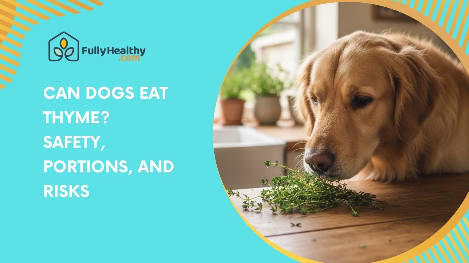 Can Dogs Eat Thyme? Safety, Portions, and Risks