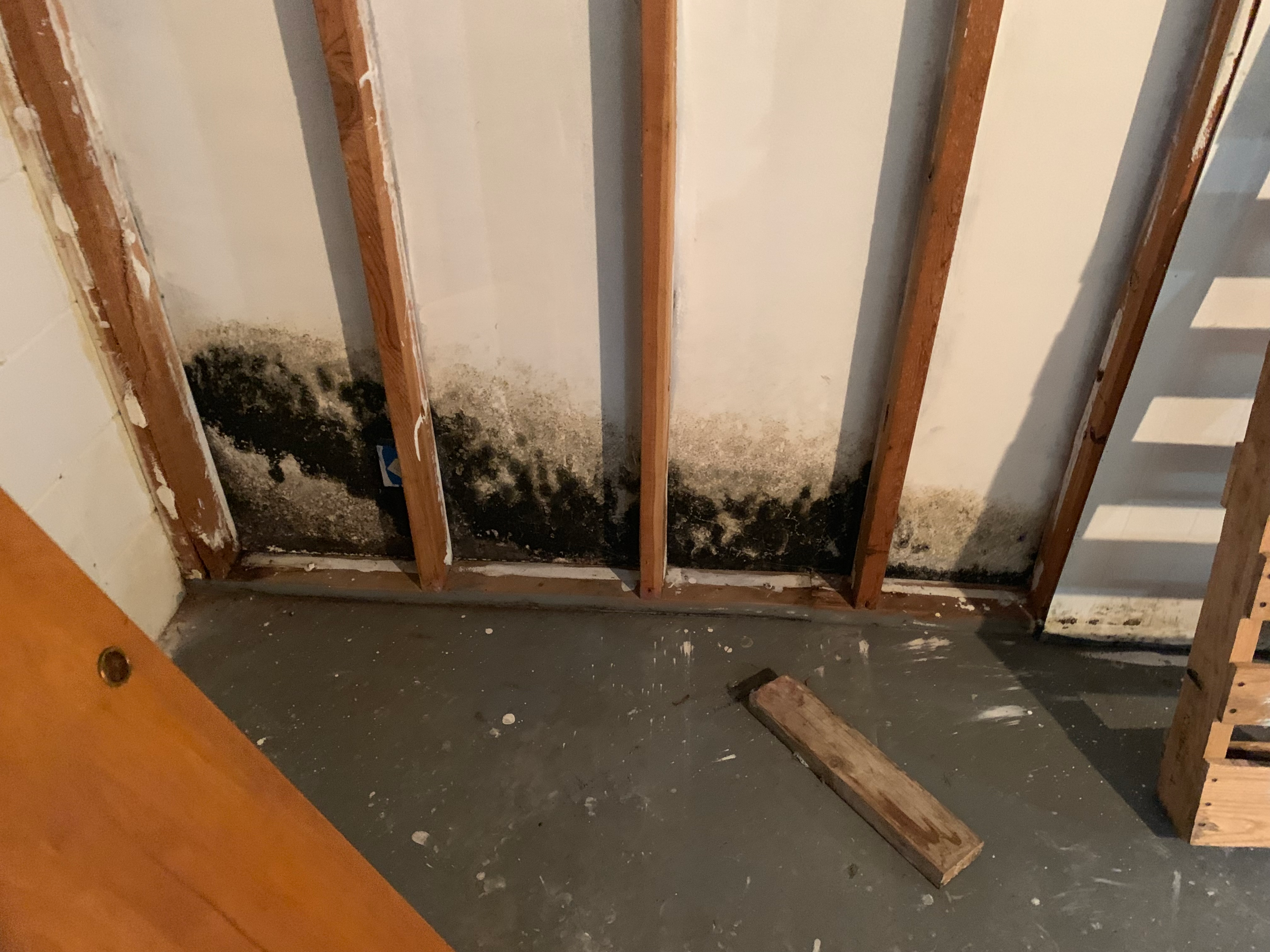 water damage restoration process salvaging buildingmaterials