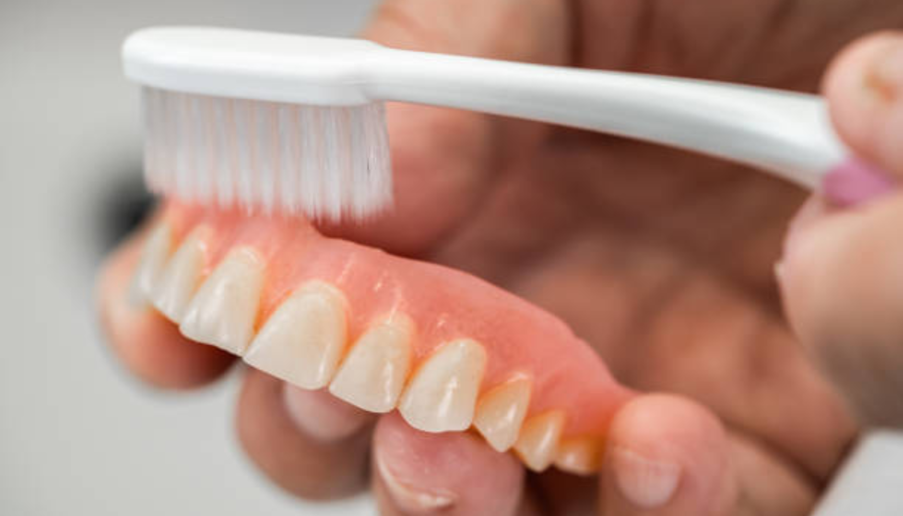 Protese – Alt du bør vite om tannproteser 10 "Hånd som rengjør gebiss med tannbørste for å holde kunstige tenner rene.