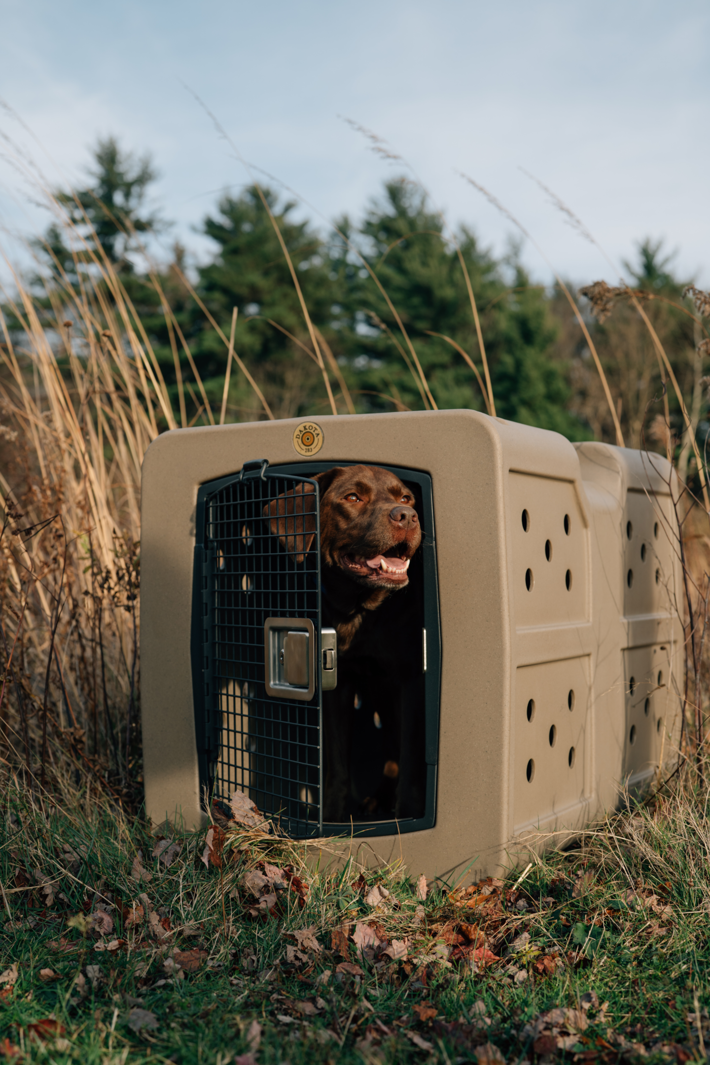 Pictured: Dakota 283 G3 Large Framed Kennel (Coyote Granite)