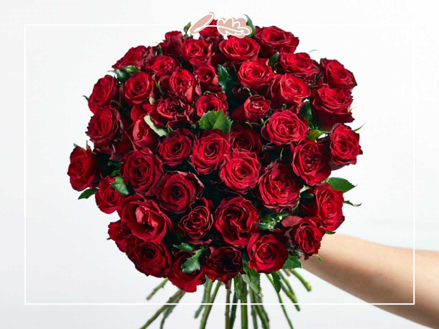 A vibrant bouquet of deep red roses held against a white background, symbolizing love and passion, delivery valentine's day gifts - Fabulous Flowers and Gifts.