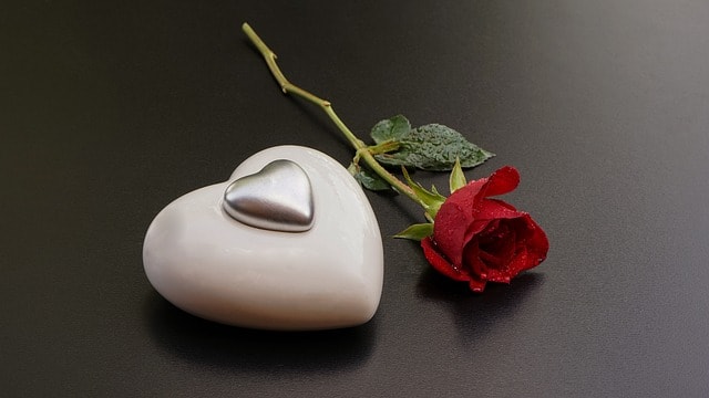 love, valentine, heart, rose red, valentine's day, declaration of love, still life, white, silver, two hearts, reconciliation, connectedness, sympathy, grief, reconciliation, sympathy, sympathy, sympathy, grief, grief, grief, grief, grief