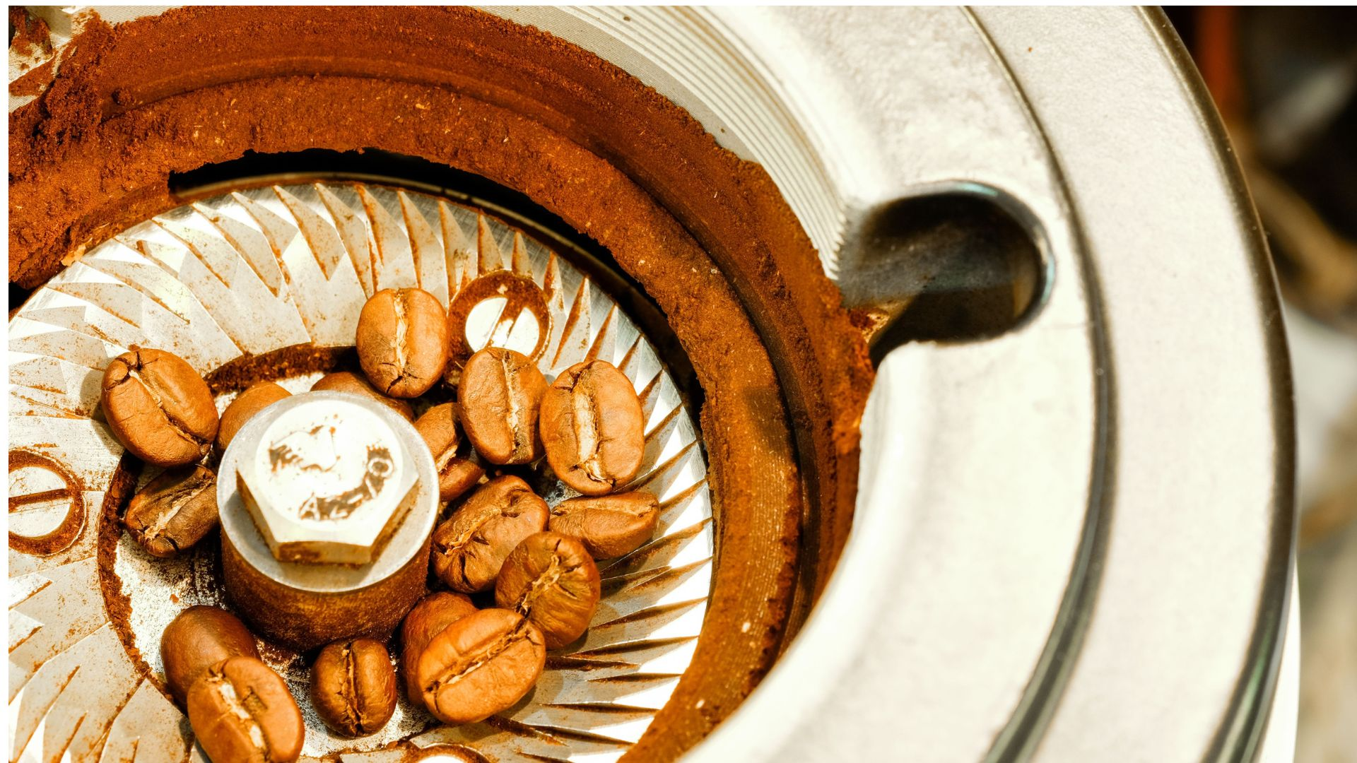 close-up of whole coffee beans in a burr grinder