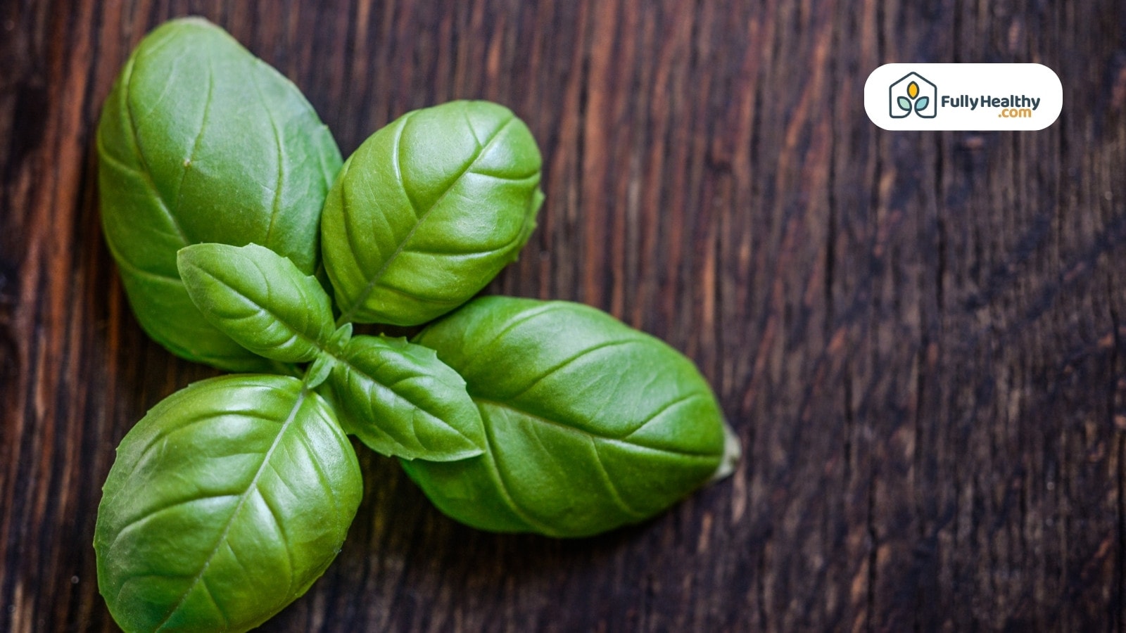 Basil leaves on dark wooden surface arranged in a small cluster
