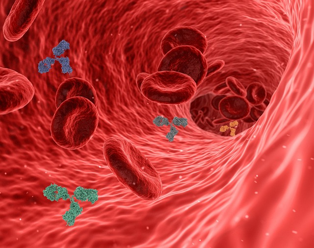 An illustration of virus, pathogens and antibody in the bloodstream.