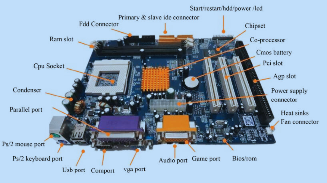 features Intel vs AMD Motherboard