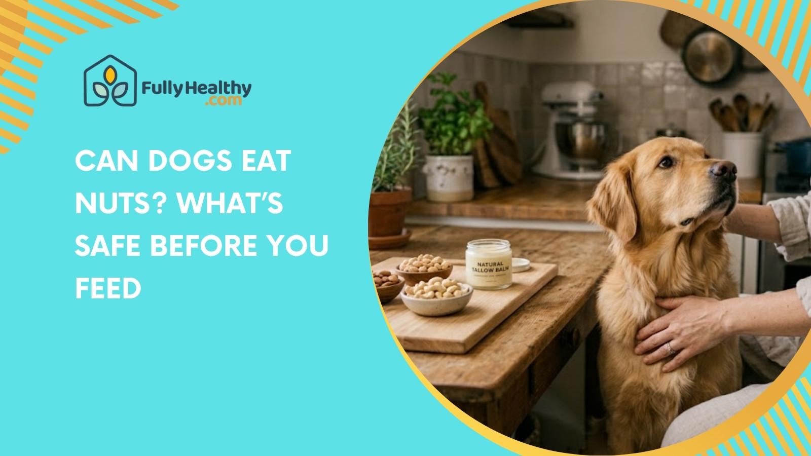 Can Dogs Eat Nuts? What’s Safe Before You Feed