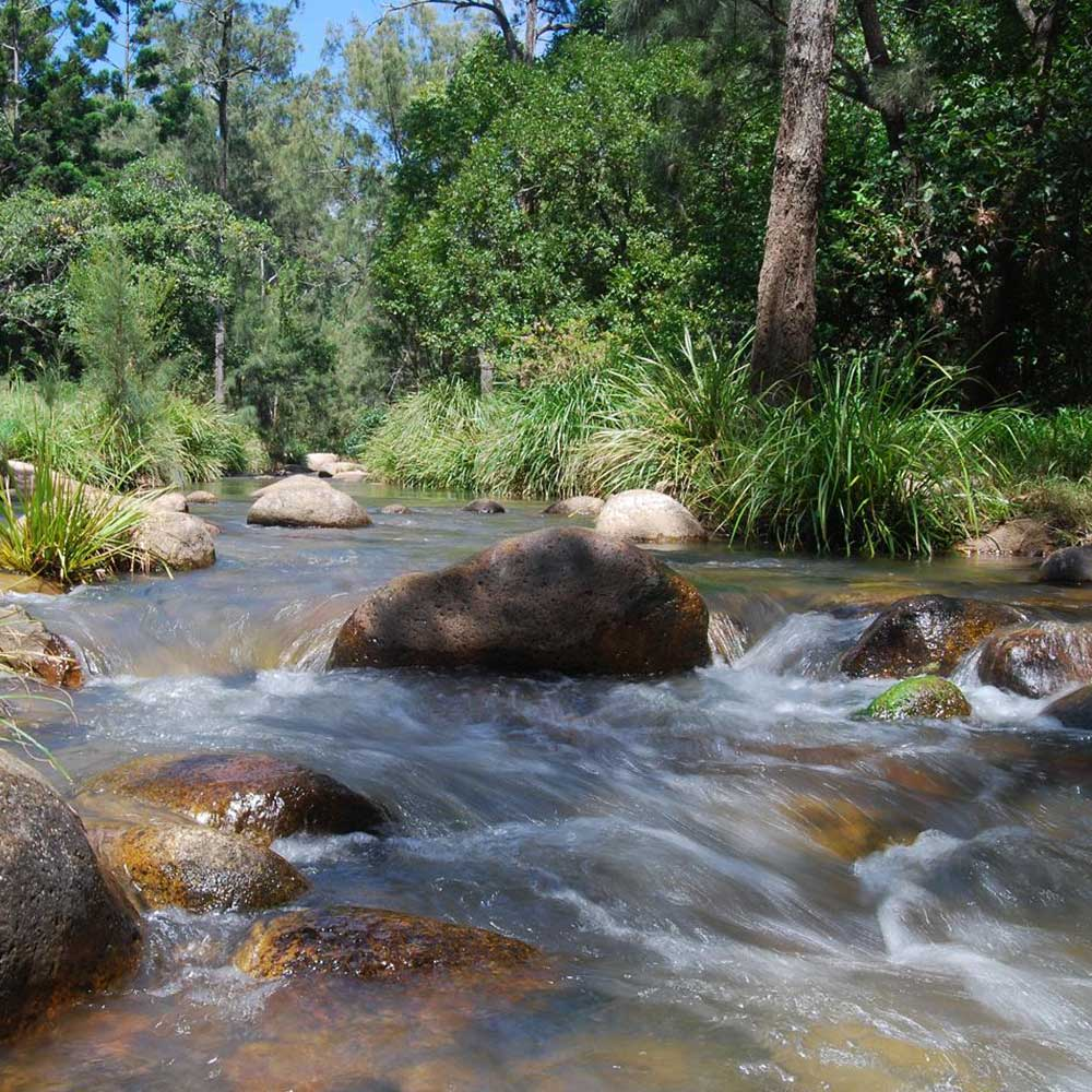 Image sourced from the Mount Barney Lodge website at: https://www.mtbarneylodge.com.au/wp-content/uploads/2020/03/mt-barney-lodge-campsite-with-creek-scenic-rim.jpg