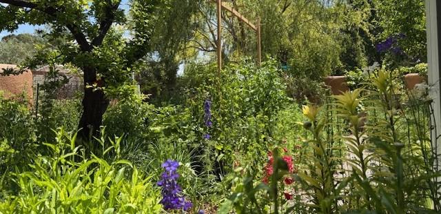 Drought tolerant landscaping