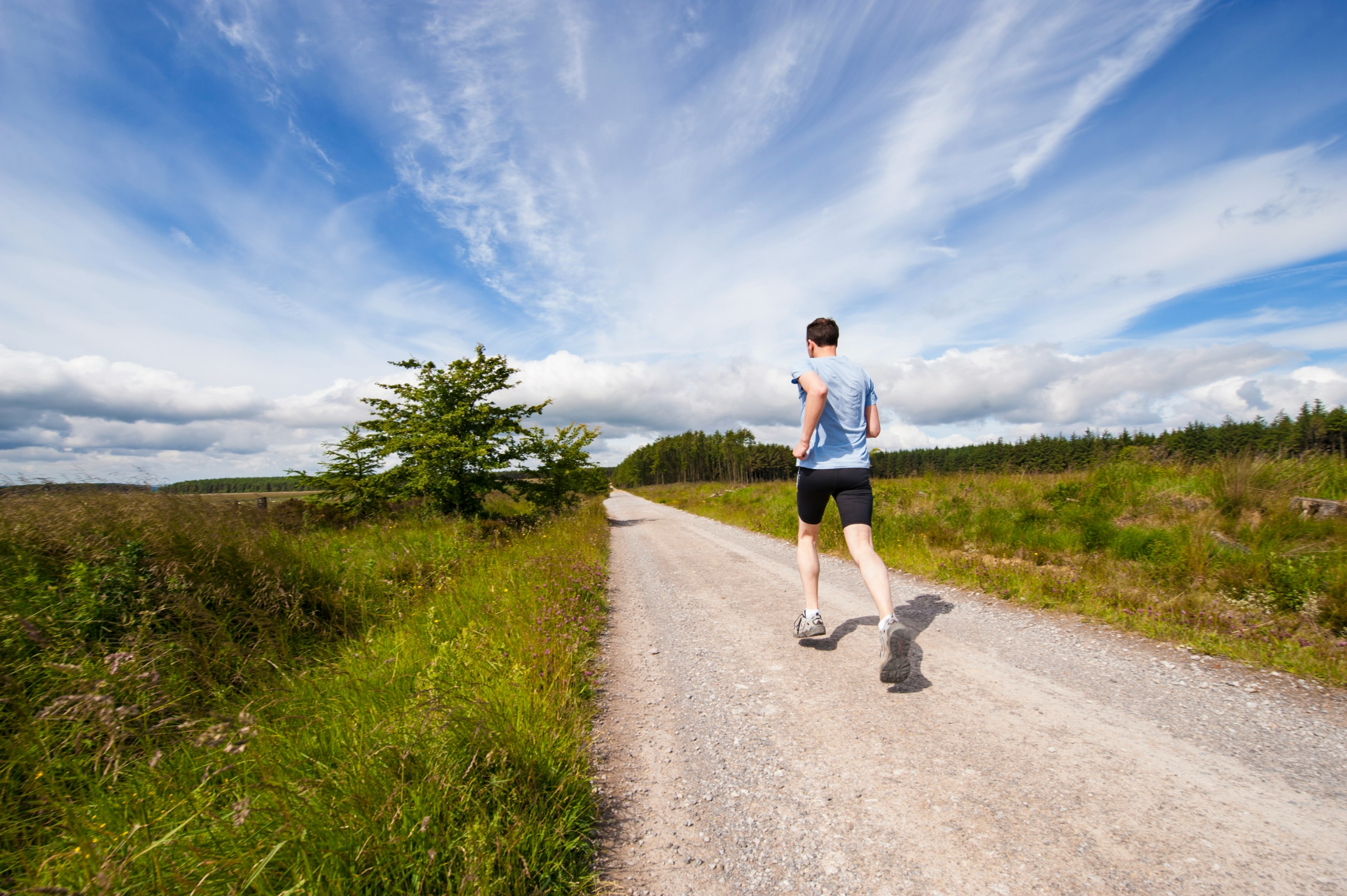 Weight loss berberine supplements support metabolism by enhancing fat burning and improving insulin sensitivity.