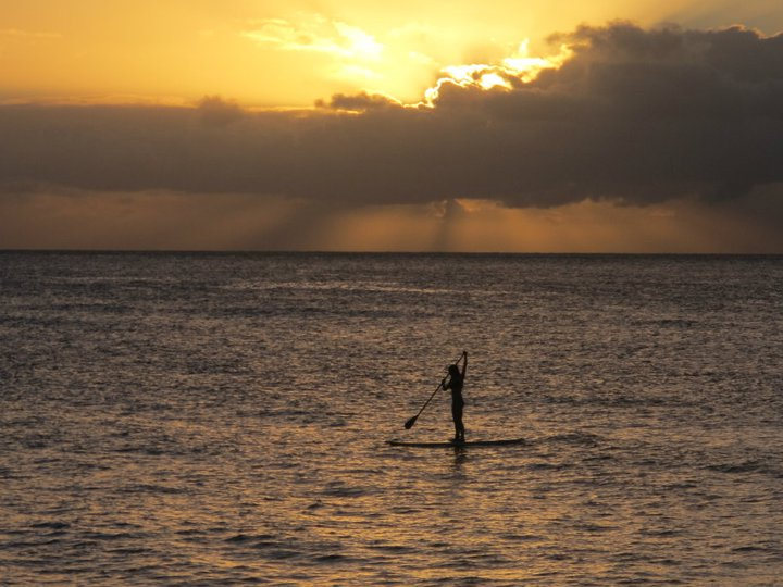 stand up paddleboard at sunset