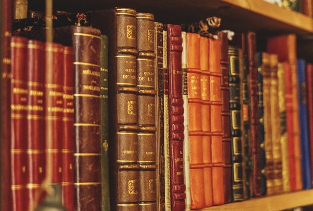 book, library, former, reading, shelves, literary, knowledge, education, library, library, library, shelves, literary, literary, literary, literary, literary