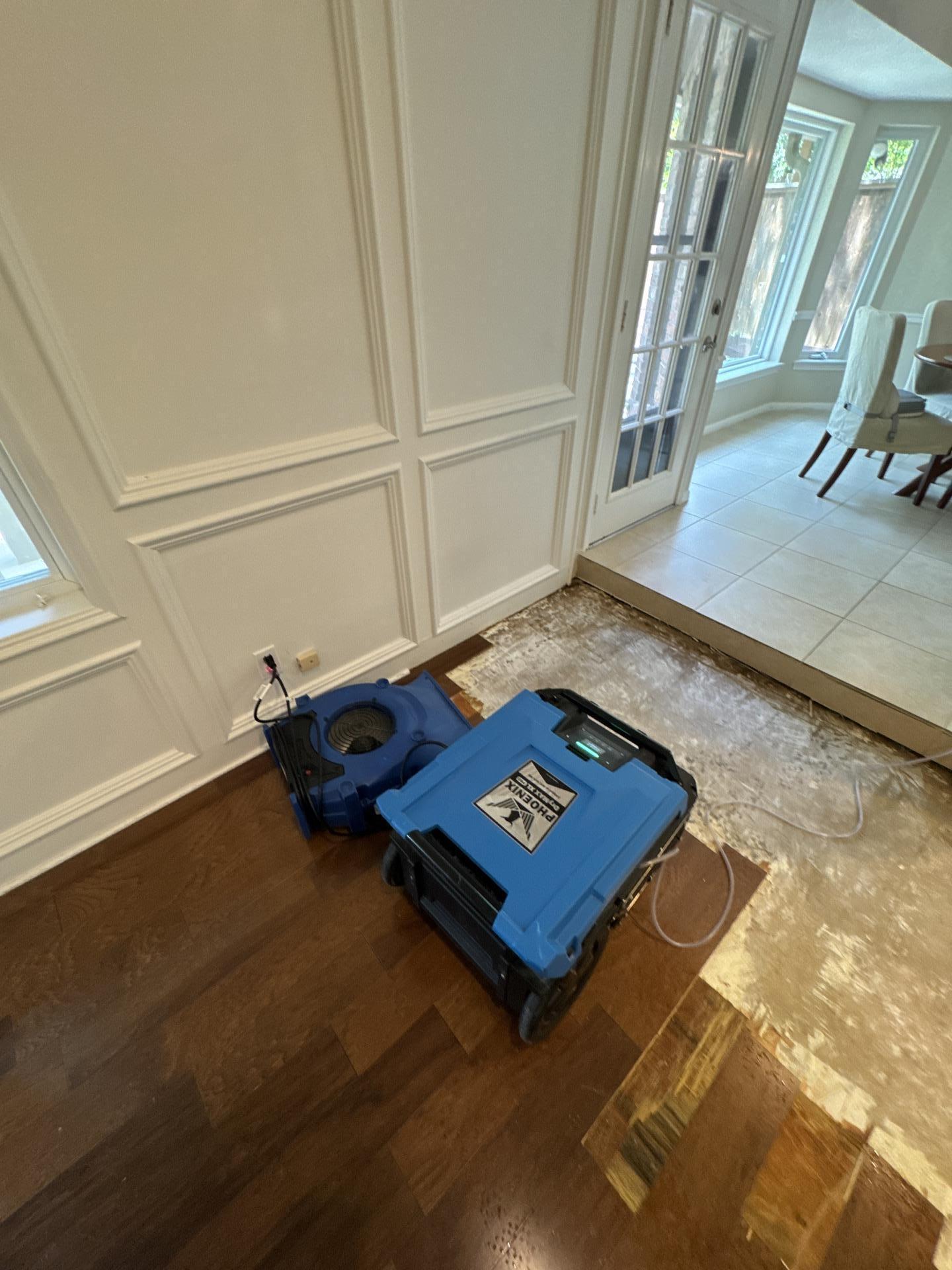 A commercial dehumidifier unit is actively operating in a residential living room, where the carpet is wet due to water damage. This unit helps in the drying process by reducing excess moisture, preventing mold growth and further damage in the affected areas.