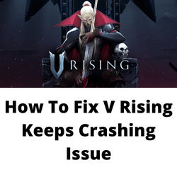 V Rising Crashing On PC