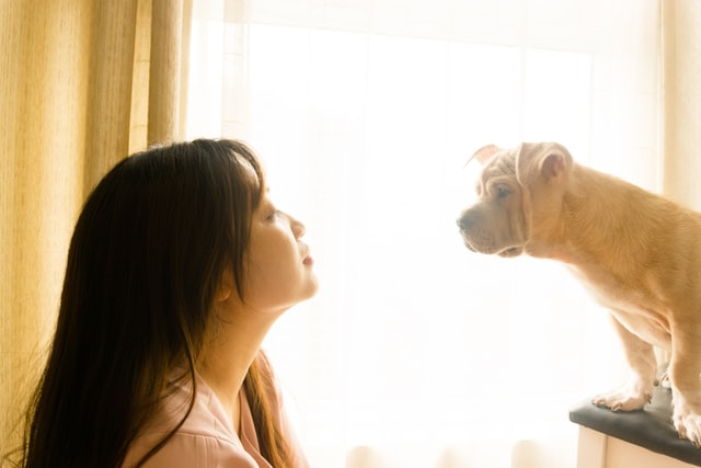 pet parent