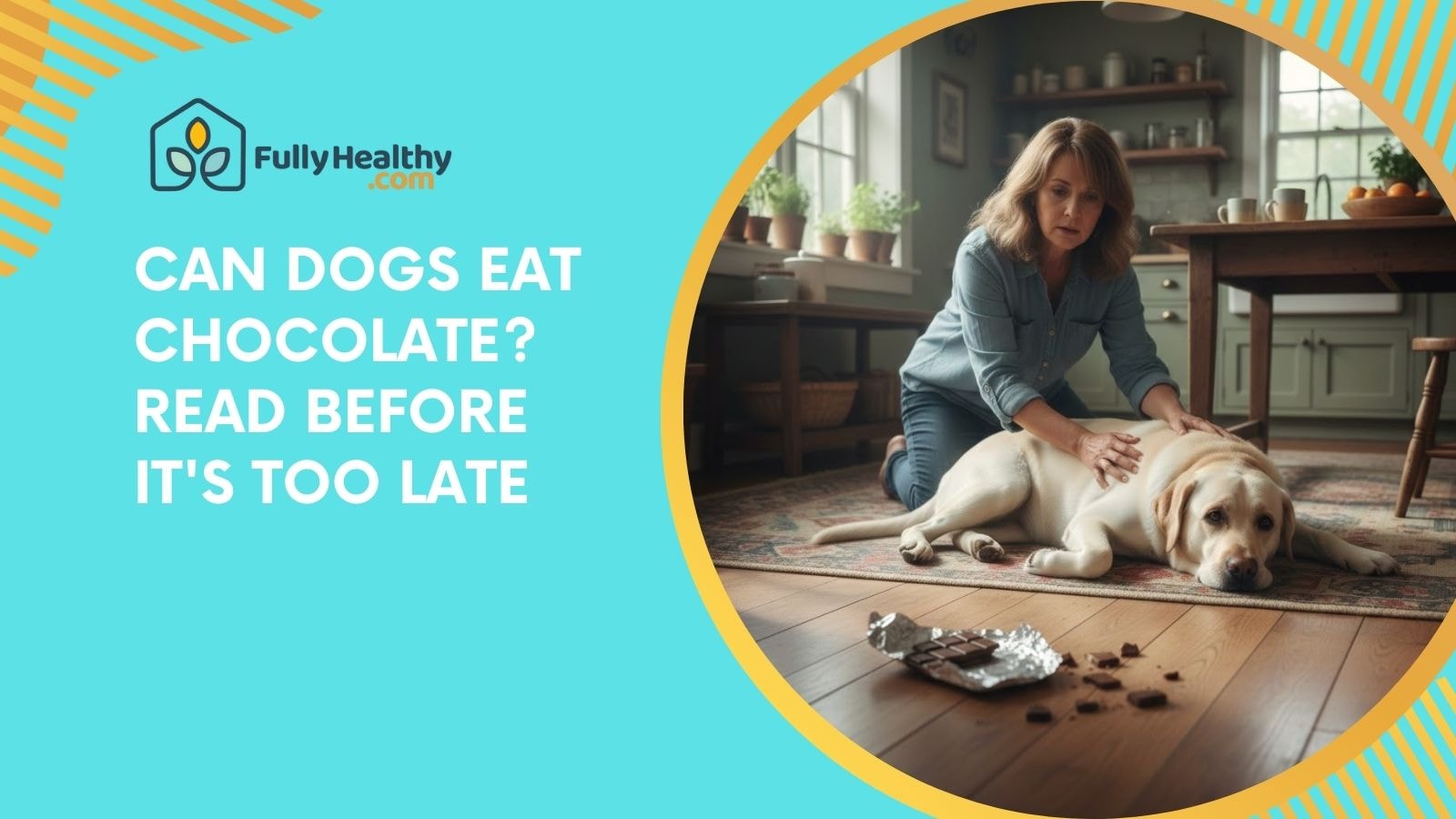 Can Dogs Eat Chocolate? Read Before It's Too Late