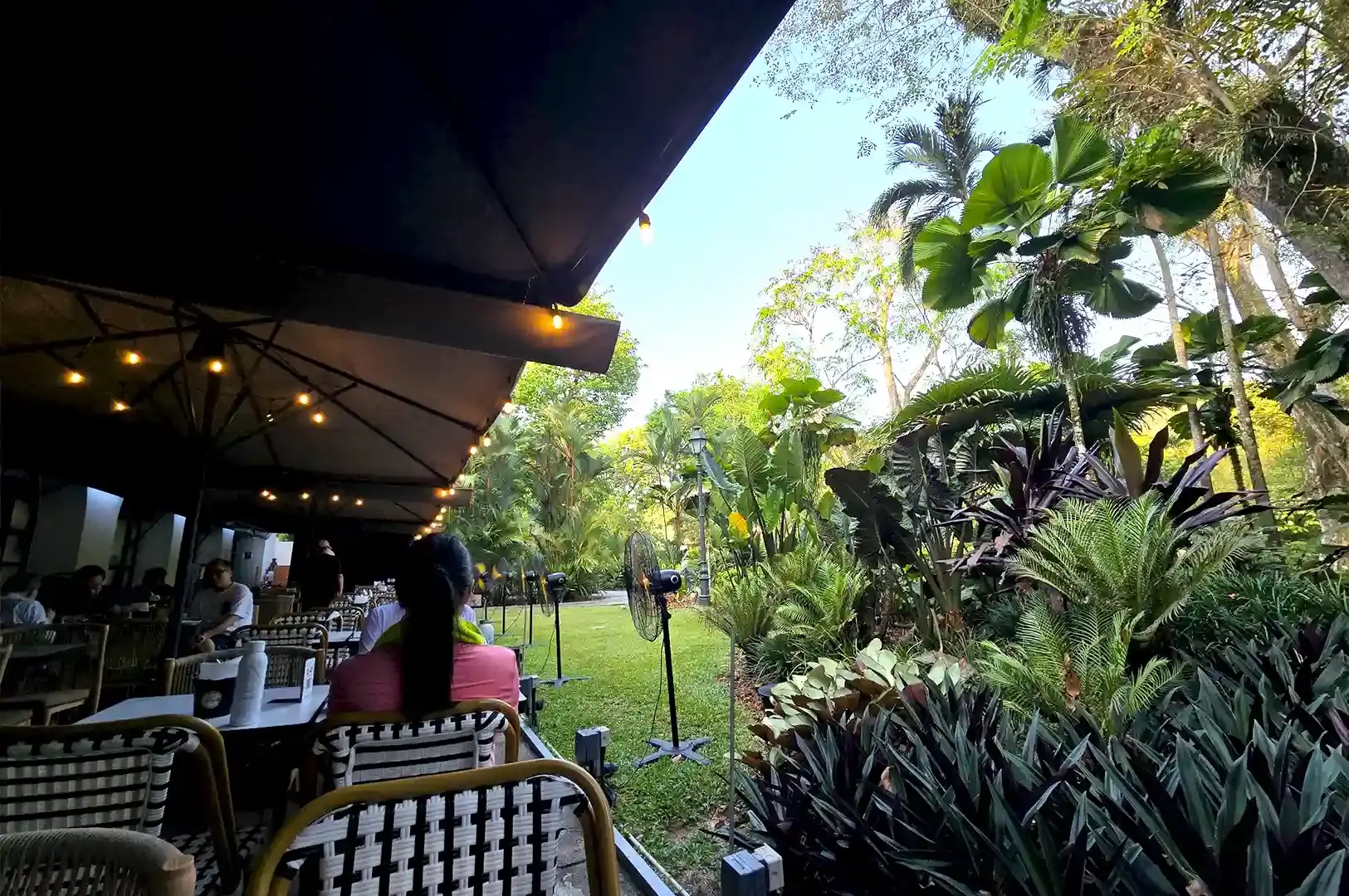 Wildseed Cafe lush outdoor dining surrounded by tropical greenery and palm trees for nature-inspired brunch in Singapore.