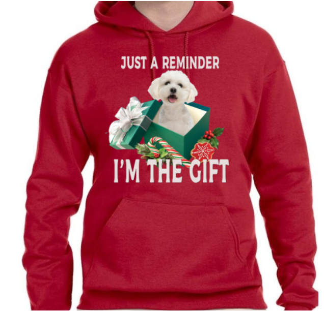 Reminder Of The Christmas Gift