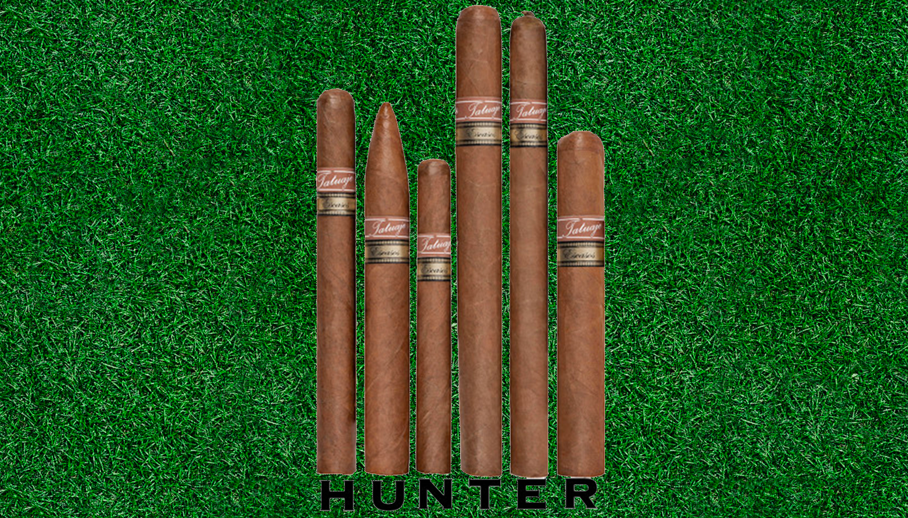 A selection of Tatuaje Escasos cigars. Pete Johnson's dog Hunter.
