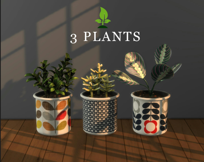 3 Plants