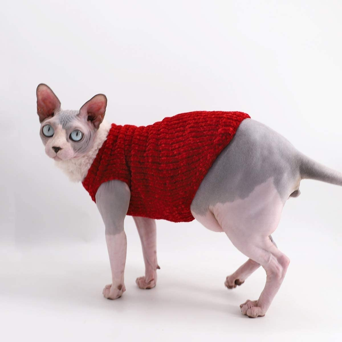 Cat Sweaters