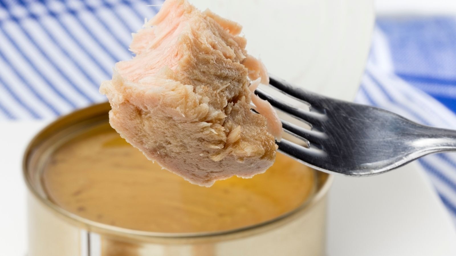 Fork holding a piece of canned tuna over open metal can