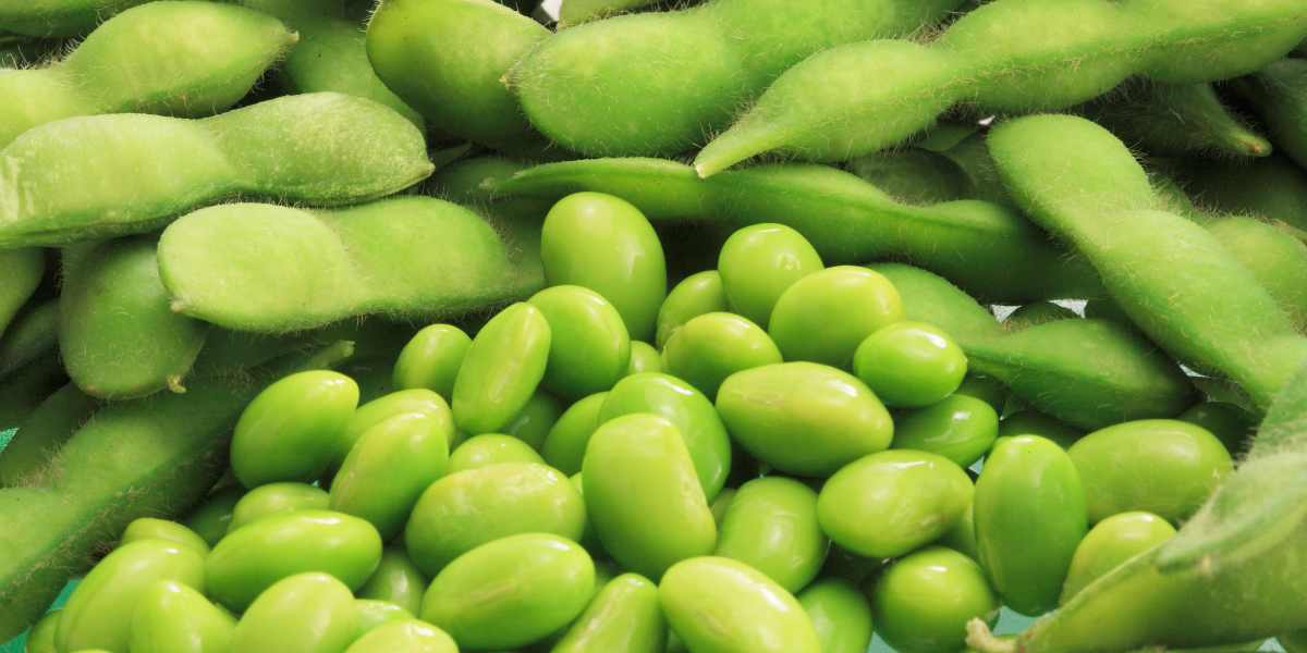 Fun little snacks packed with protein - Edamame beans. 