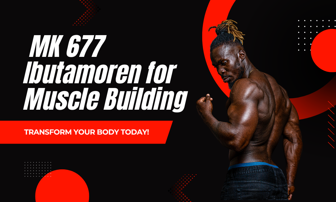 mk 677 ibutamoren for muscle building
