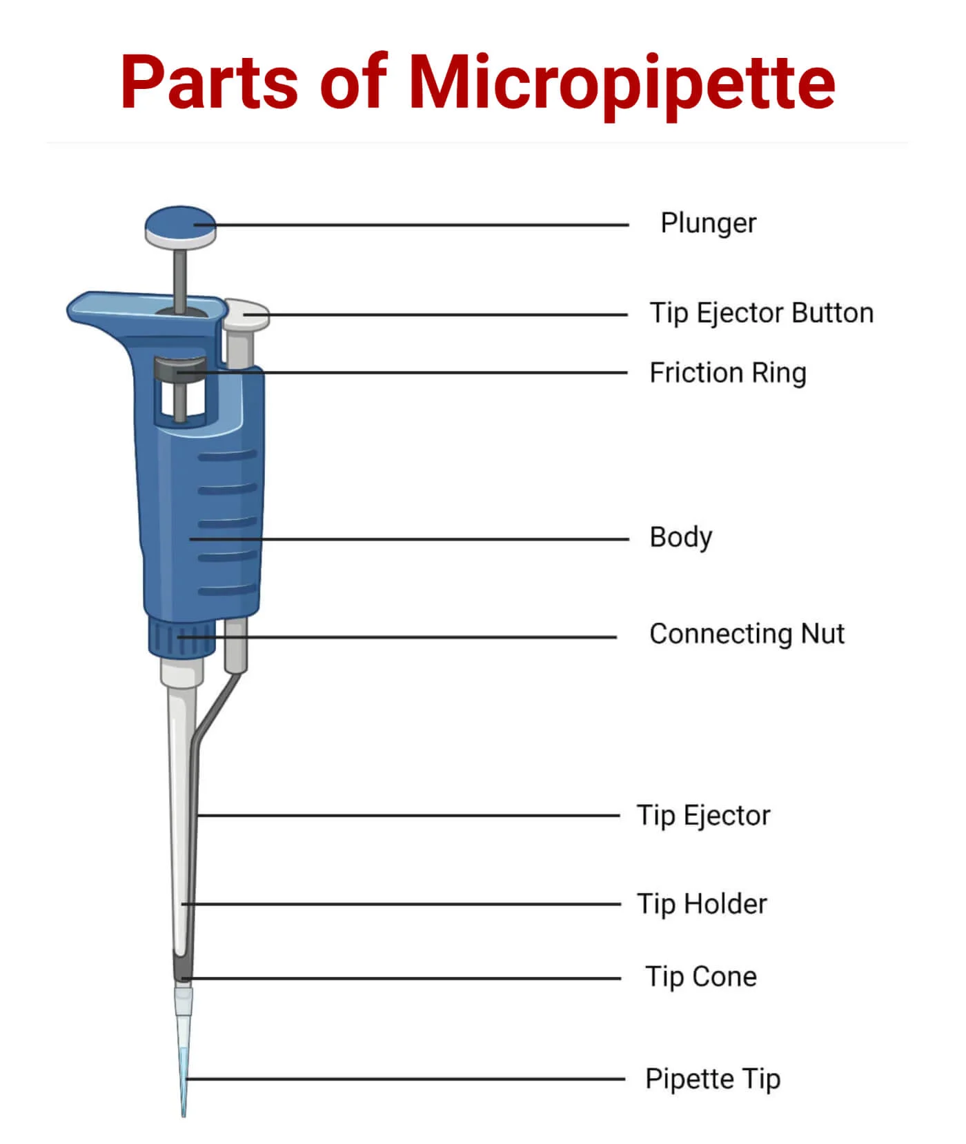 Illustration of micropipette maintenance and calibration