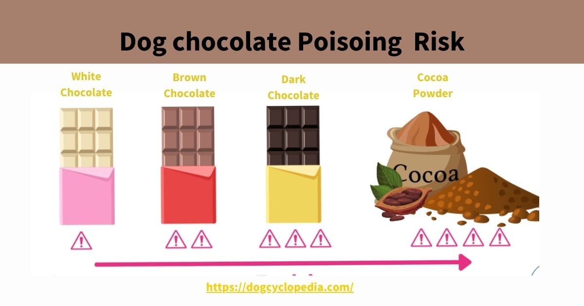 Chart illustrating chocolate poisoning risk for dogs by type: white, brown, dark chocolate, and cocoa powder. Includes warning icons indicating increasing toxicity levels.