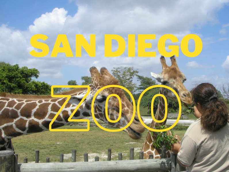 Why Is San Diego So Popular? Lovely San Diego