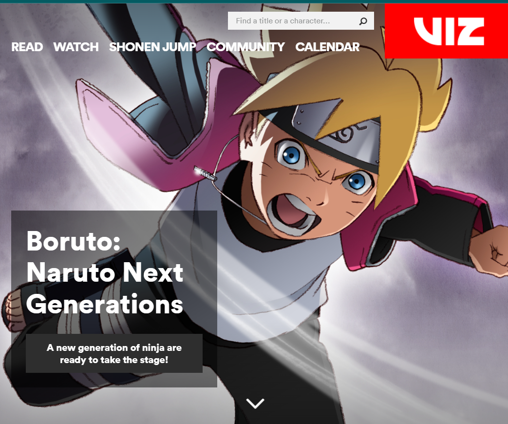 viz home page