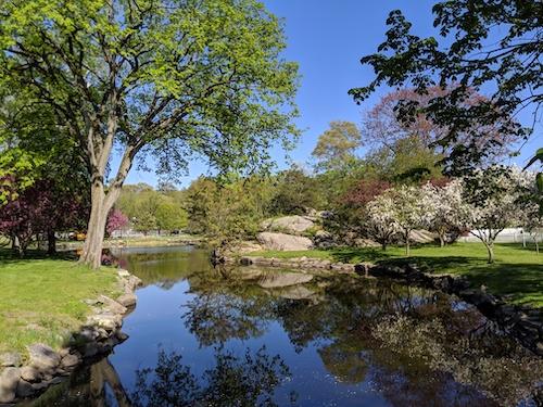 A warm spring day in Bruce Park