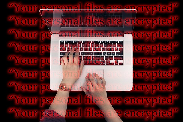 laptop, keyboard, cyber