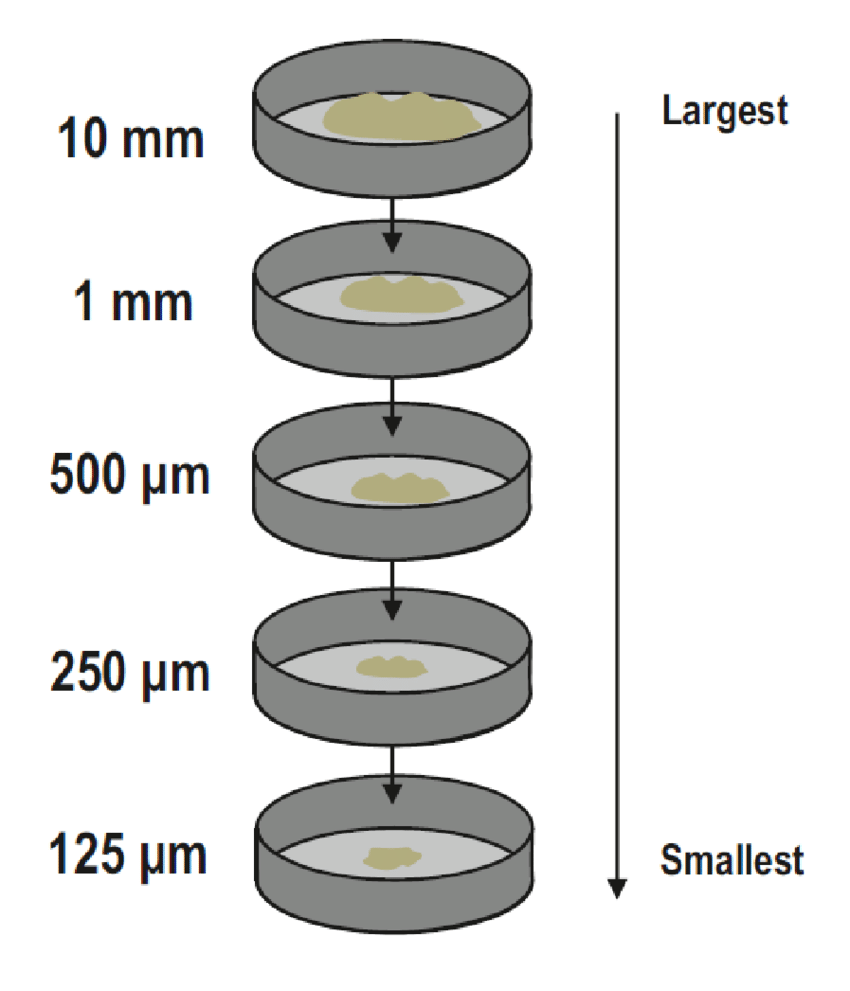 Graph for Sieve Analysis: A Guide to Accurate Soil Grading