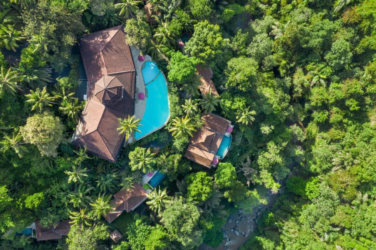 ubud jungle resort