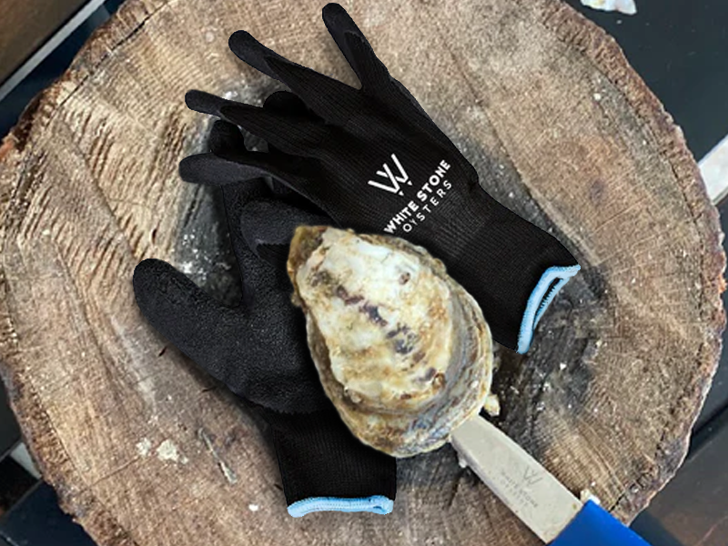 Image showcasing essential tools for shucking oysters, including Oyster Shucking Gloves and a knife.