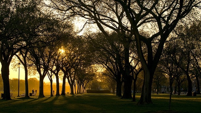 washington dc, morning, sun