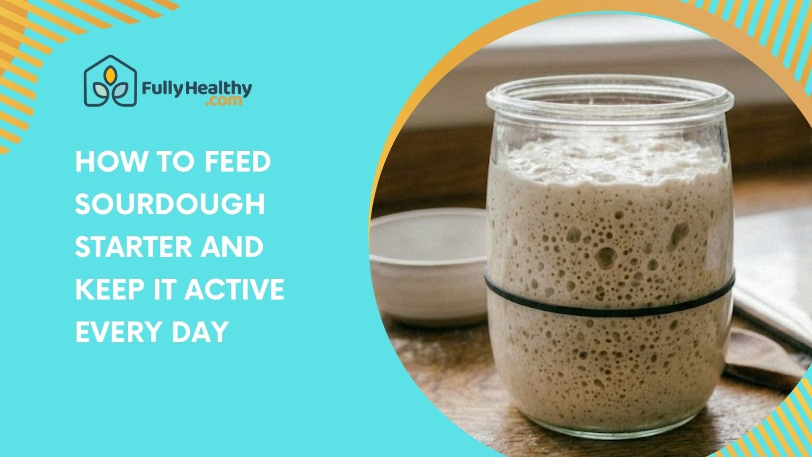 How to Feed Sourdough Starter and Keep It Active Every Day