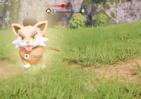 pupperai in palworld 1.0