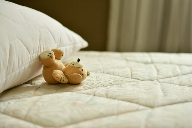 Deep cleaning mattresses and bedding can help keep your Airbnb bed bug free. Source: Pixabay.