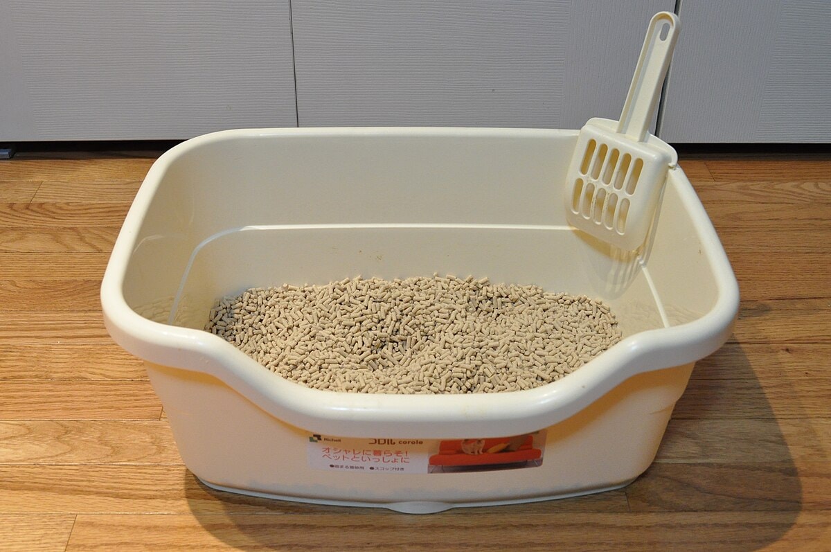 Hoe vaak kattenbak verschonen voor een schone en gezonde omgeving?