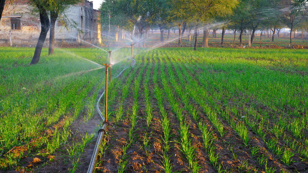 sprinkler irrigation using tailwater