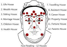 Face Reading, Free Chinese Physiognomy Techniques to Know Personality