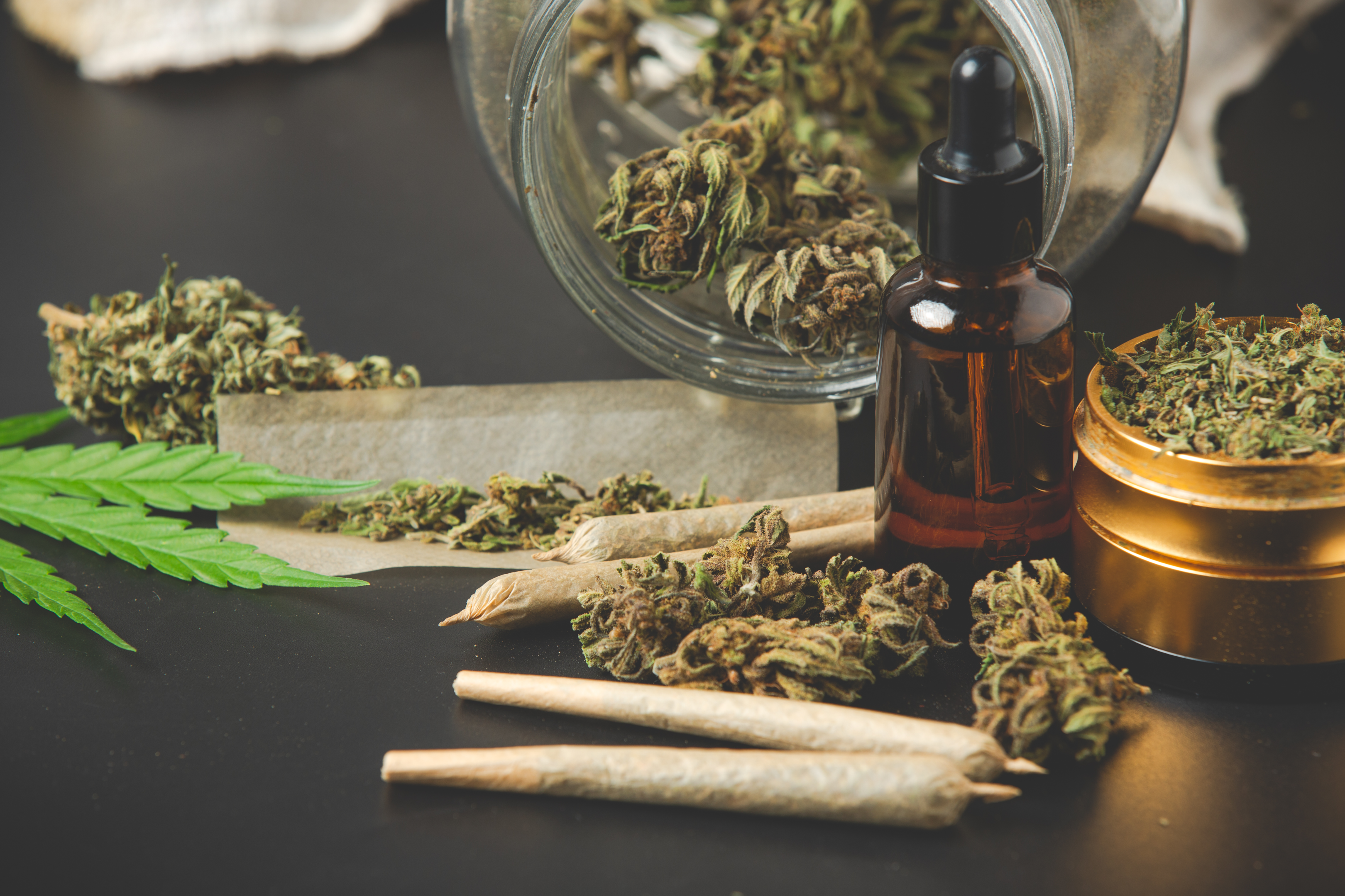 Medyczna marihuana na receptę - kto się kwalifikuje, gdzie kupić i ile kosztuje marihuana lecznicza?
