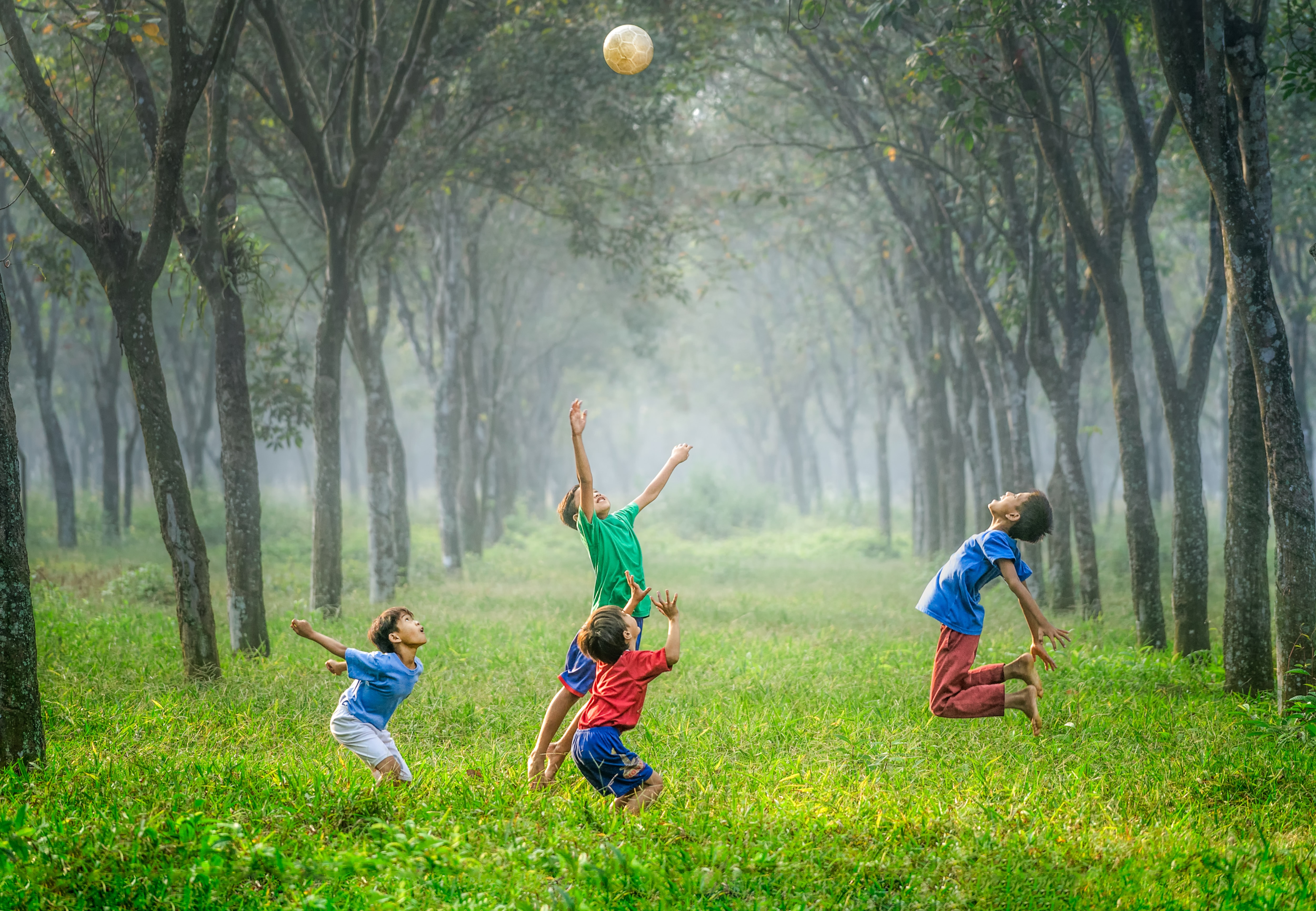 Four kids playing catch in tall green grass.