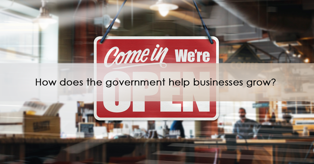 How does the government help businesses grow?