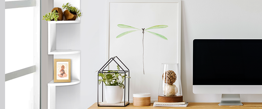 A close up of the corner of an office, including a desk. An Artiss White 5-tier Corner Wall Shelf holds a picture of a baby and two geometric pot plants. 