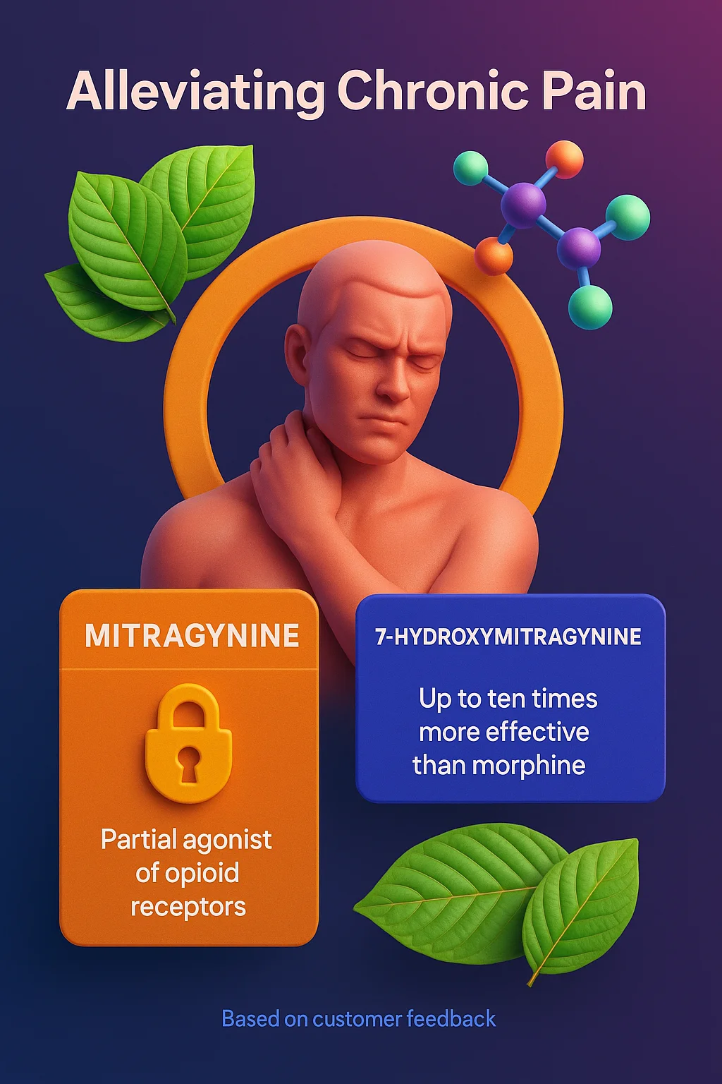 What are the Health Benefits of Using Kratom? 4 "Infographic on alleviating chronic pain with kratom alkaloids Mitragynine and 7-Hydroxymitragynine, highlighting receptor activity and potency compared to morphine."