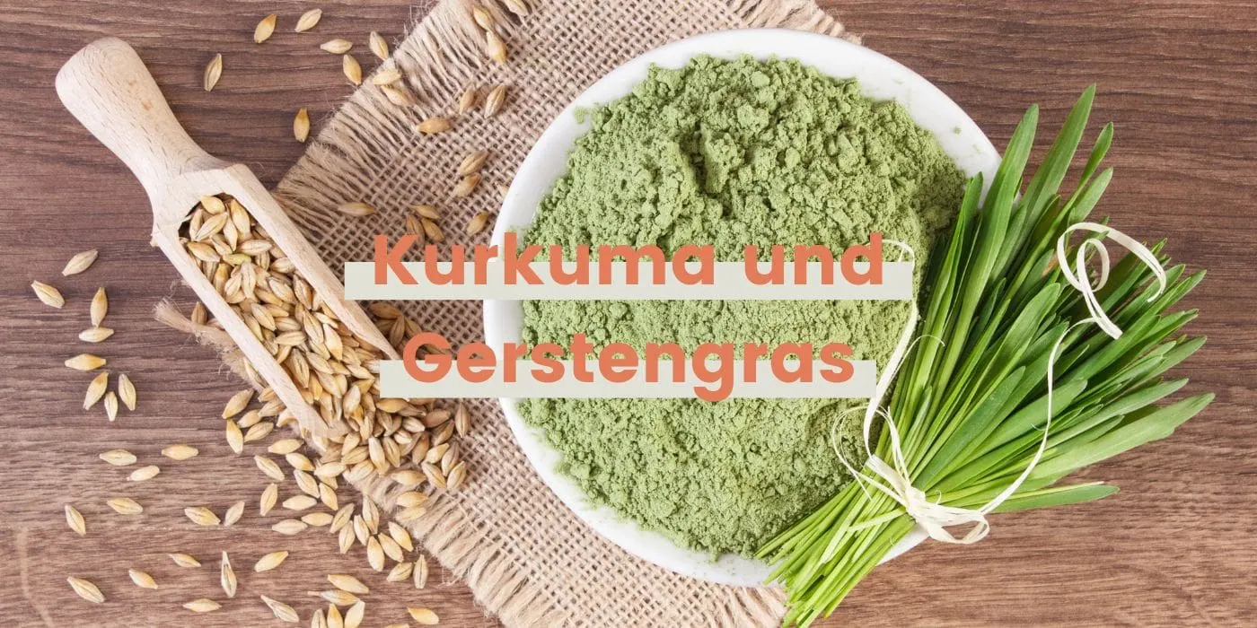 Kurkuma und Gerstengras – Entdecken Sie Ihre Superpower mit Bio Superfoods